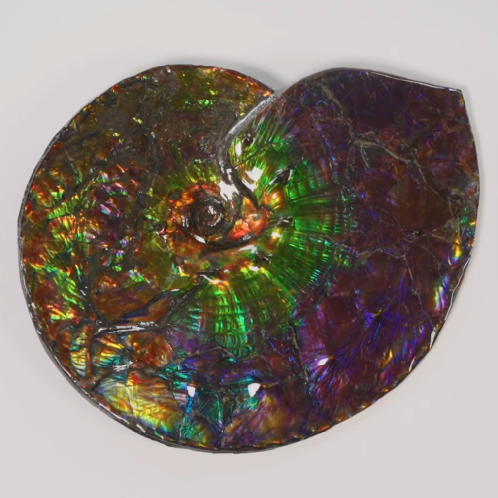 Enchanted Designs gallery image 7