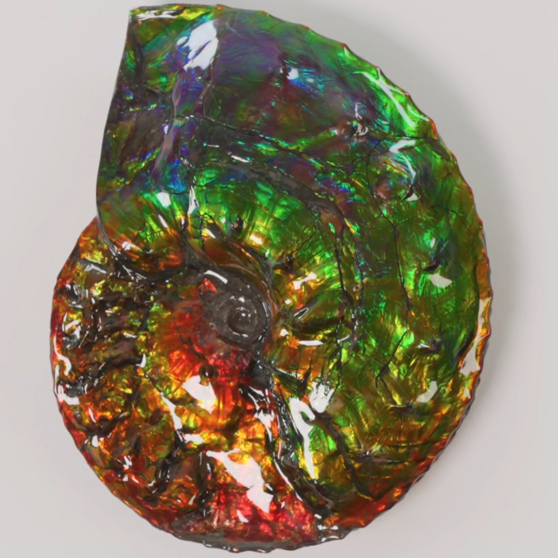 Enchanted Designs gallery image 1